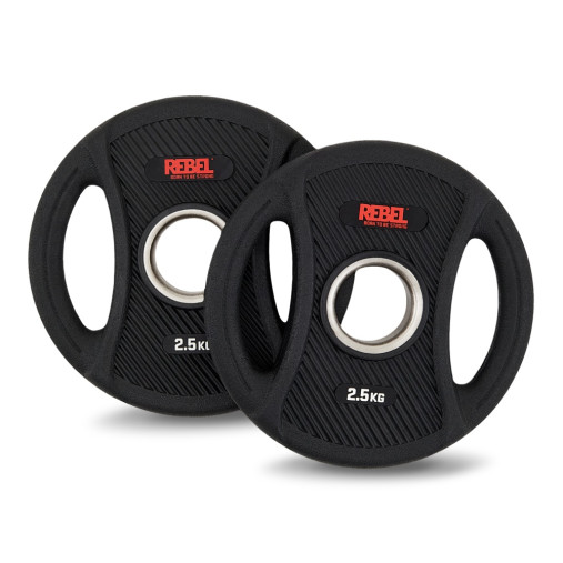 Диск олимпийский обрезиненный с двумя хватами 2,5 кг REBEL