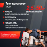 Ряд гантелей круглых UNIX Fit обрезиненные от 2,5 до 50 кг