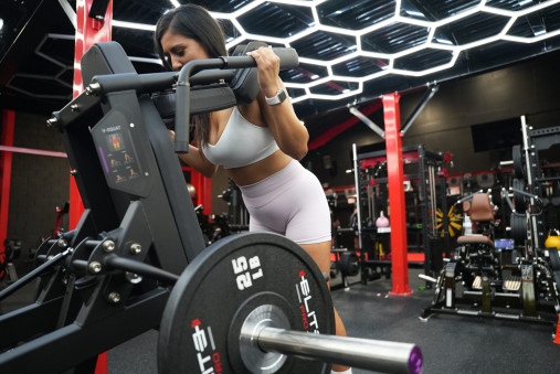 Тренажер Гак V-присед серии Peach Builder PB311 (нагружаемый дисками 50 мм)